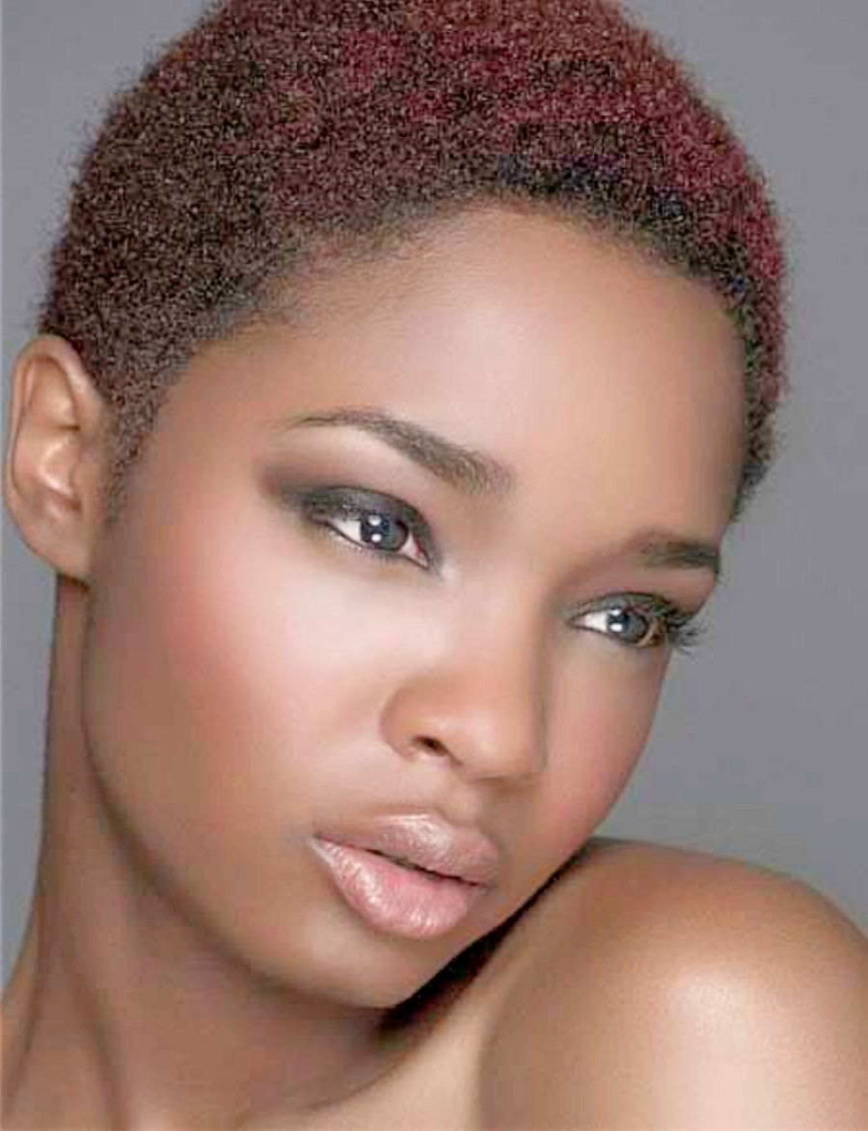 Top 12 More Carefree And Classic Look Wear Natural Afro Short Hairstyles Hairstyles For Women 