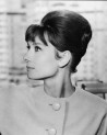 40 Elegant and fresh- Why the 60s hairstyles are the stars when it comes to haircuts
