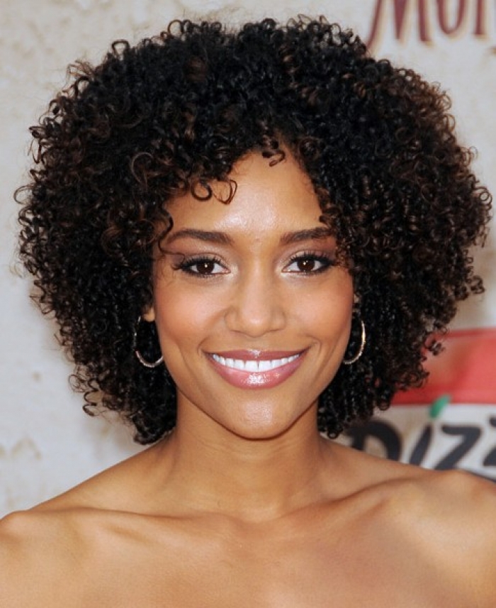 Black Natural Curly Hairstyles