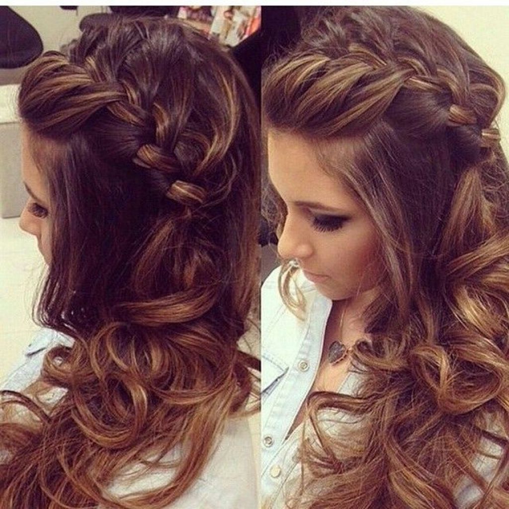 Prom Hair And Braids Pictures 44