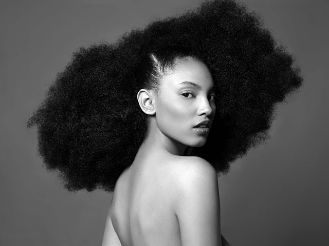 natural hairstyles for short kinky hair photo - 4