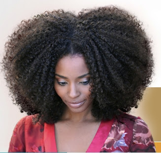 natural hairstyles for short kinky hair photo - 7