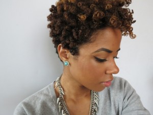 short natural afro hairstyles photo - 6